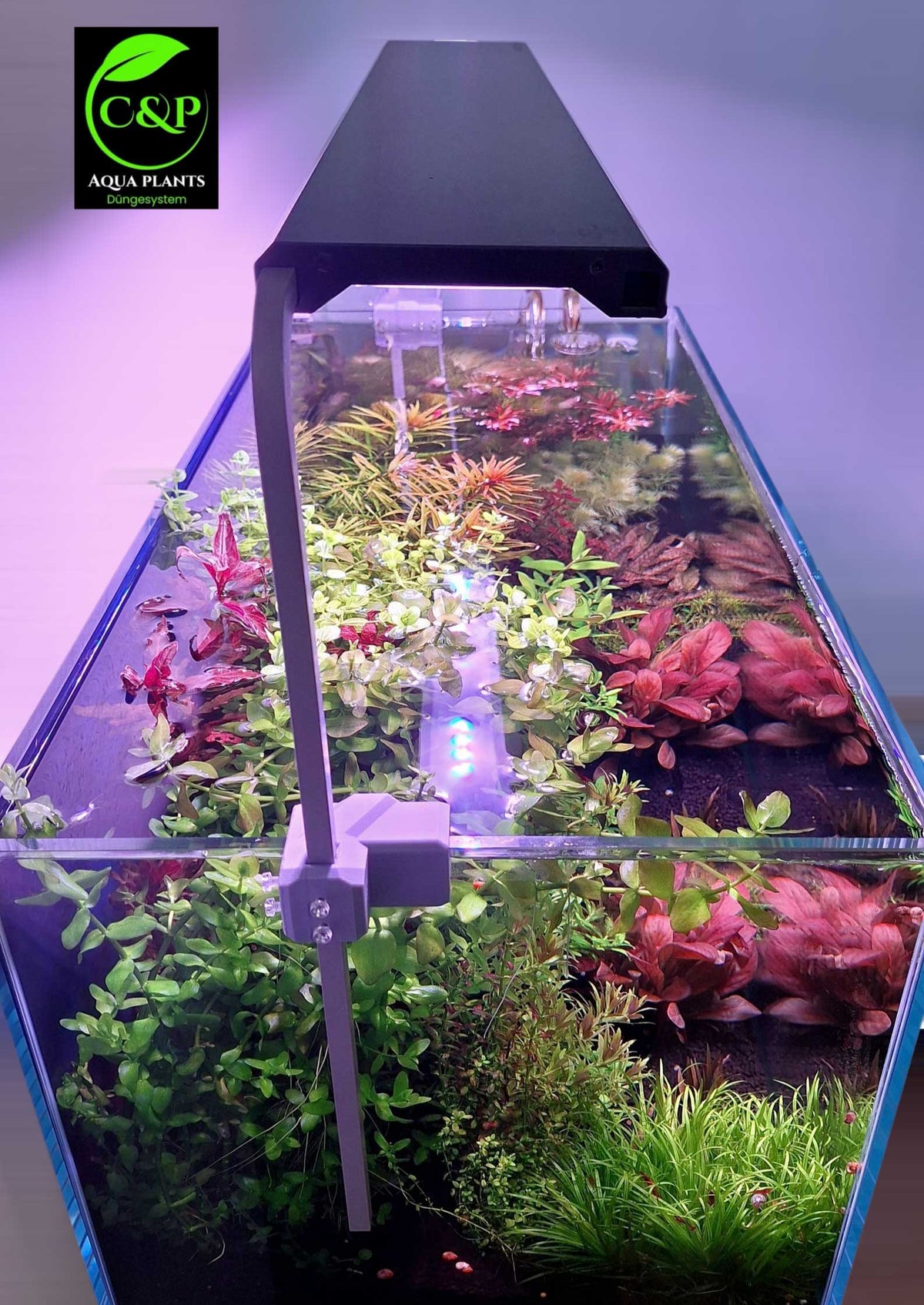 Skylight Hyperbar
