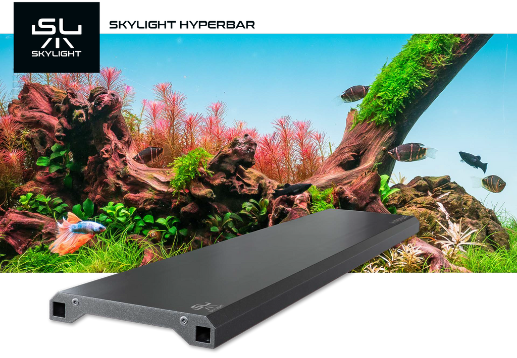 Skylight Hyperbar