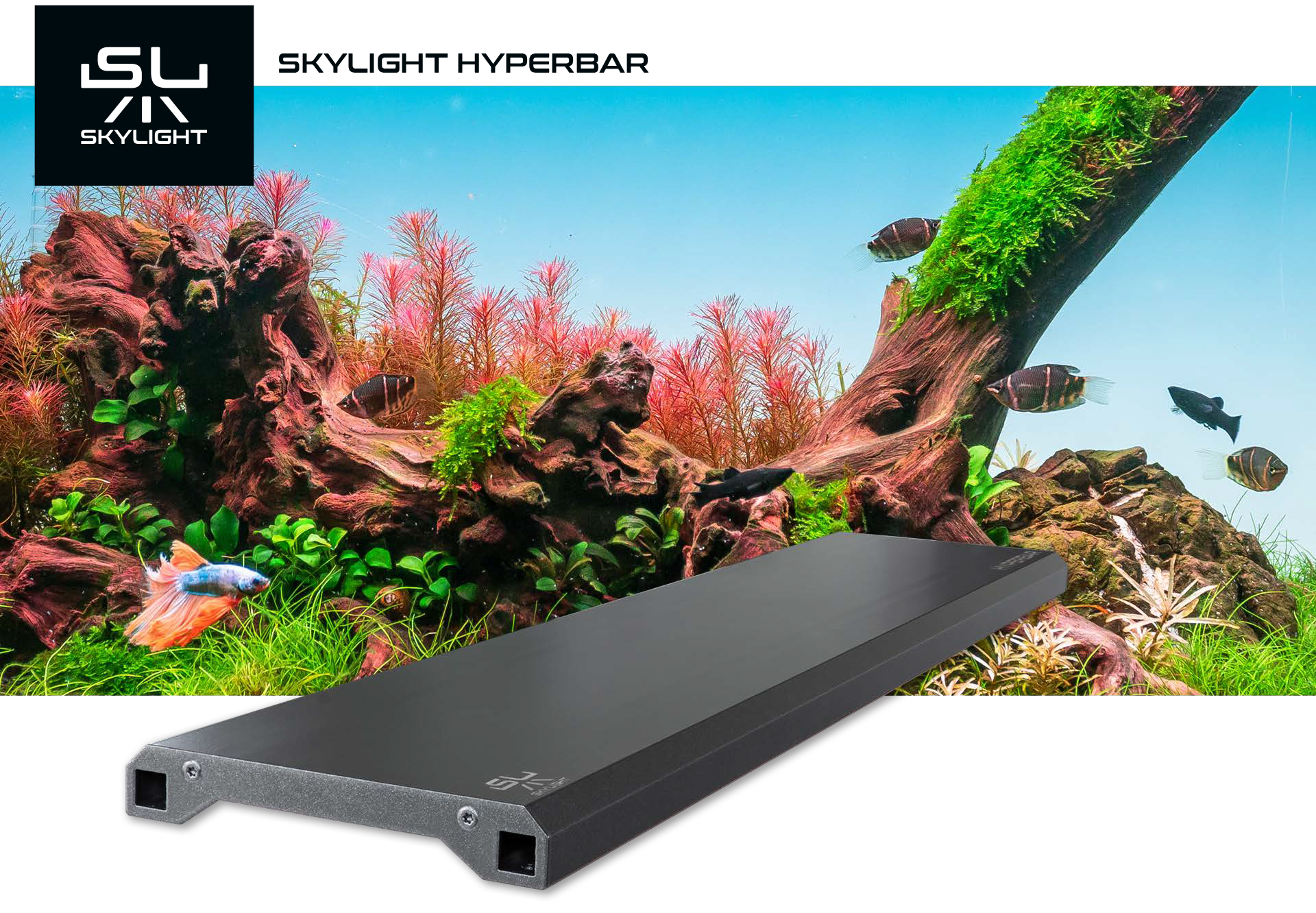 Skylight Hyperbar