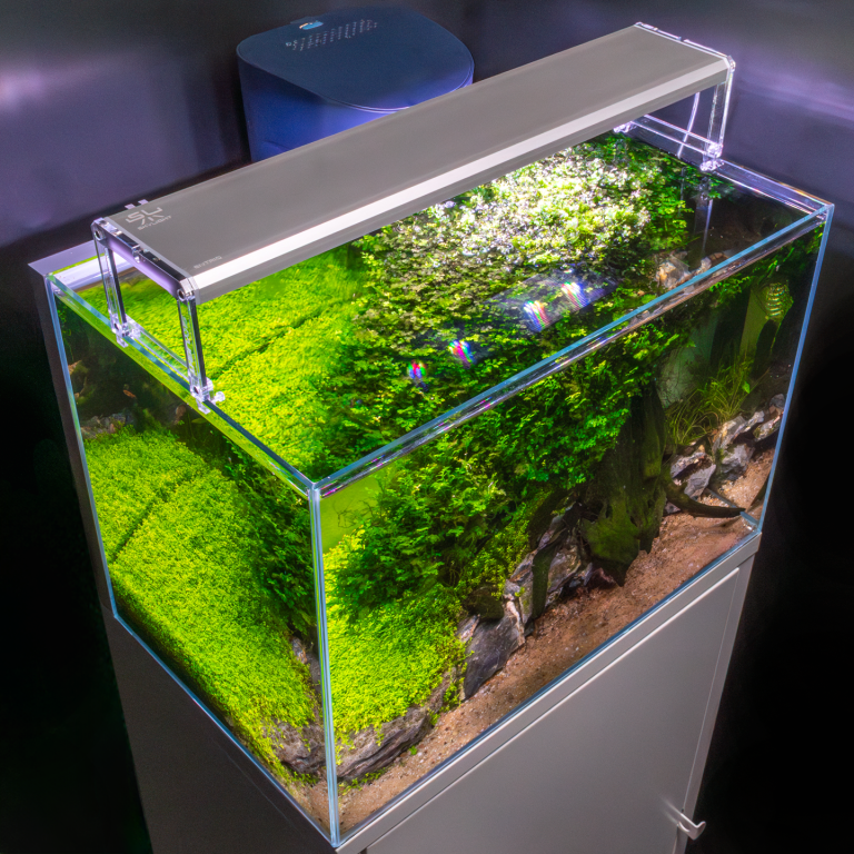 Skylight ENTRIQ