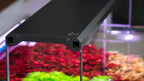 Skylight Hyperbar