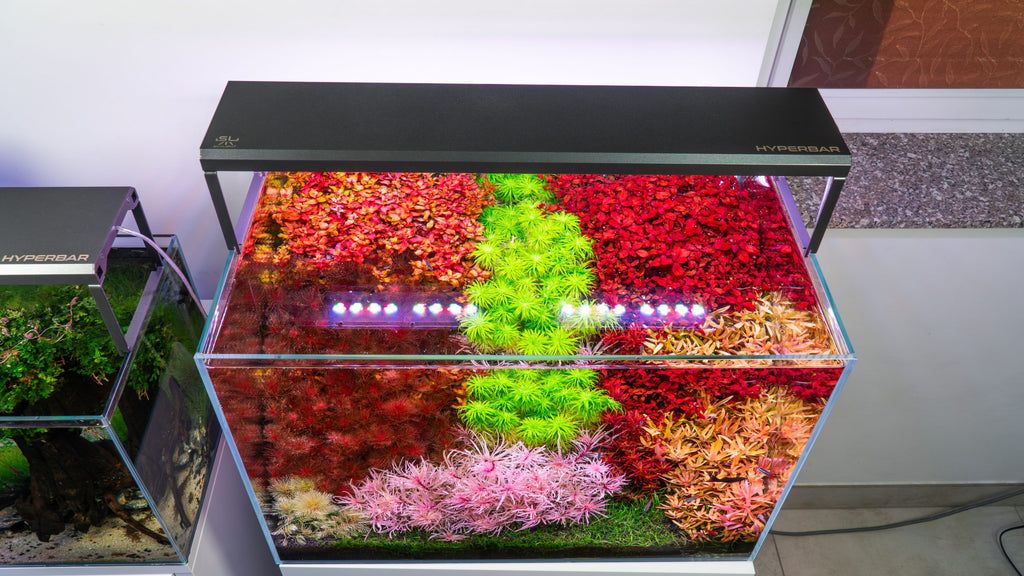 Skylight Hyperbar