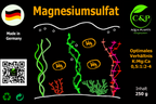 Magnesiumsulfat