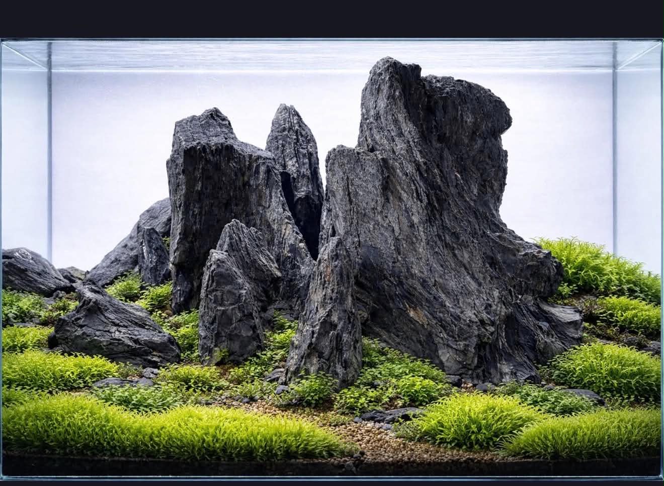 custom-slideshow-image-desktop-block_CAamfF