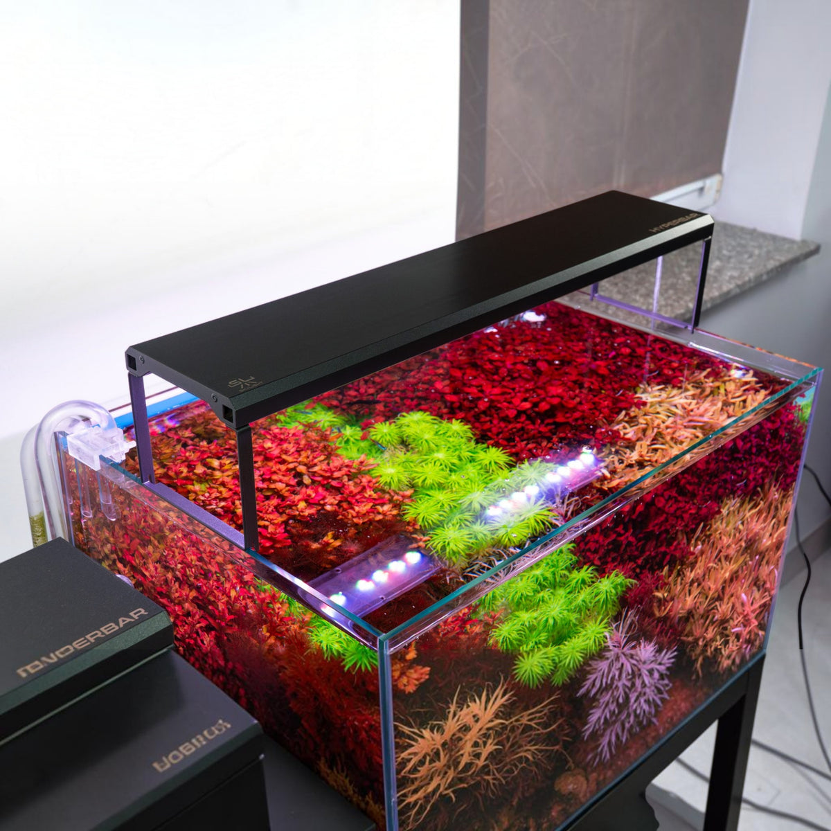 C&P Aquaplants Skylight Hyperbar LED-Beleuchtung über einem farbenfrohen Süßwasseraquarium mit Aquascaping-Pflanzen