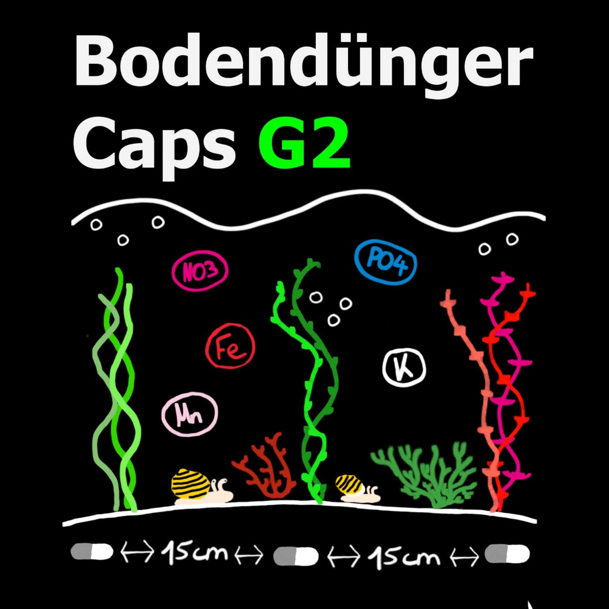 C&P Aquaplants Bodendünger Caps Grafik zur Nährstoffversorgung von Aquarienpflanzen mit Nährstoffsymbolen
