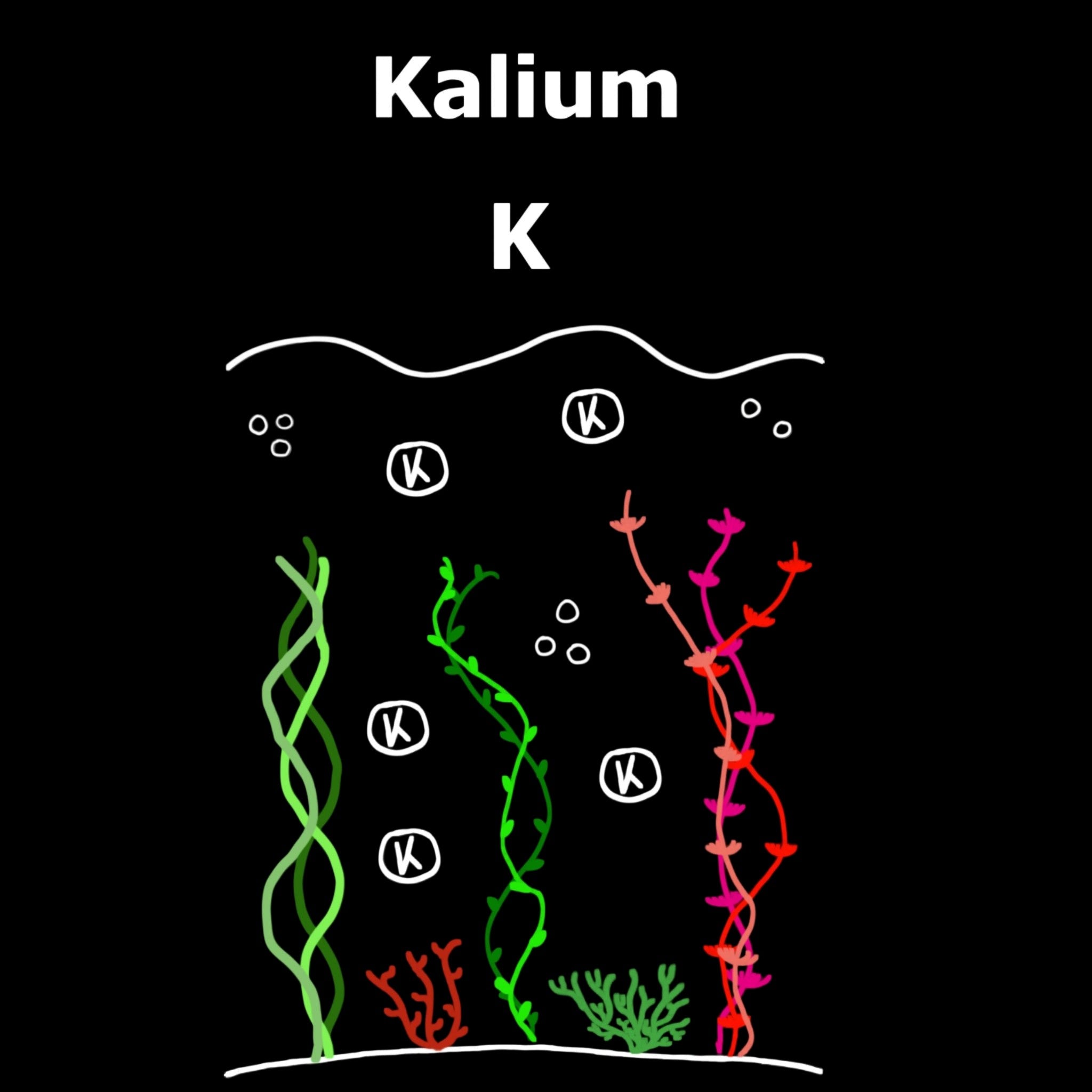 C&P Aquaplants Kalium Dünger Grafik mit stilisierten Wasserpflanzen und Kalium-Symbolen zur gezielten Nährstoffzugabe