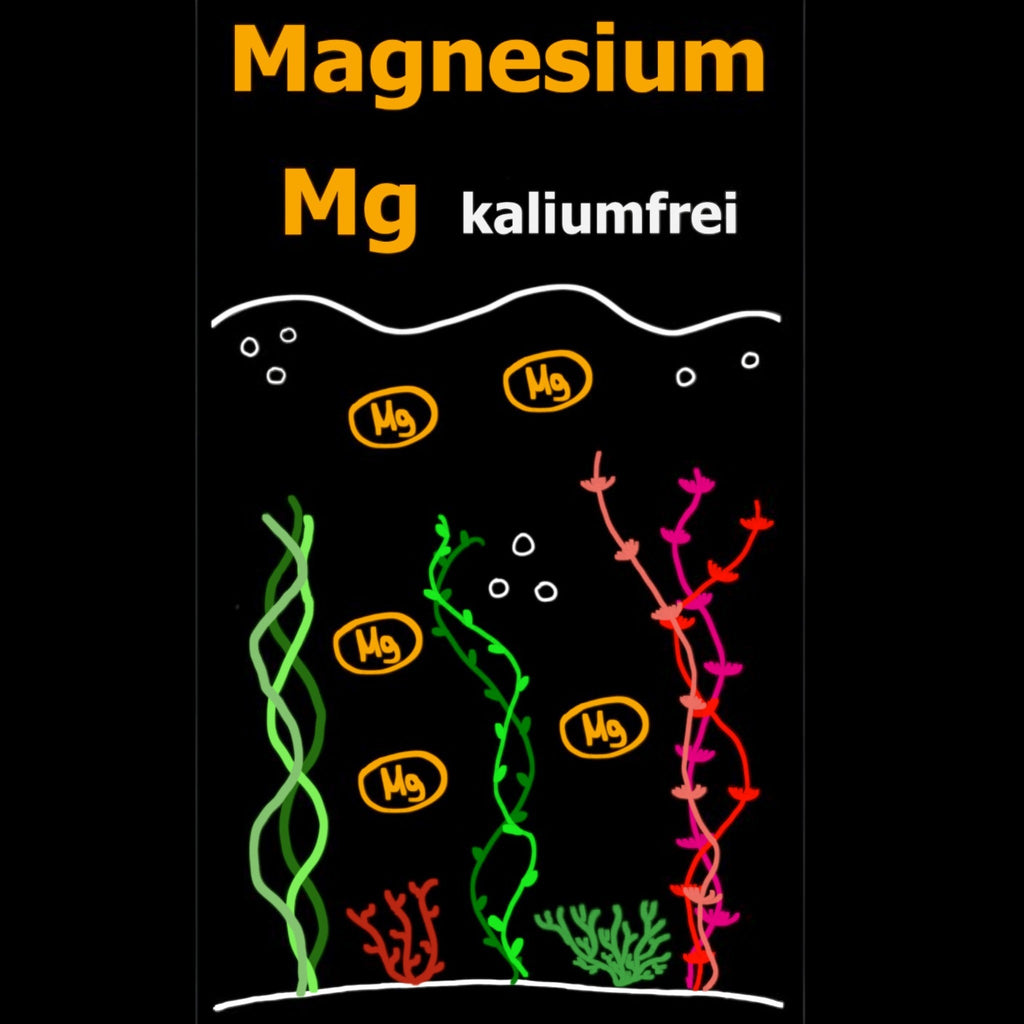 C&P Aquaplants Magnesiumdünger für Aquarien mit grafischer Darstellung von Magnesium-Ionen und Wasserpflanzen