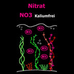 C&P Aquaplants Nitratdünger kaliumfrei für Aquarienpflanzen mit NO3-Nährstoffgrafik und QR-Code