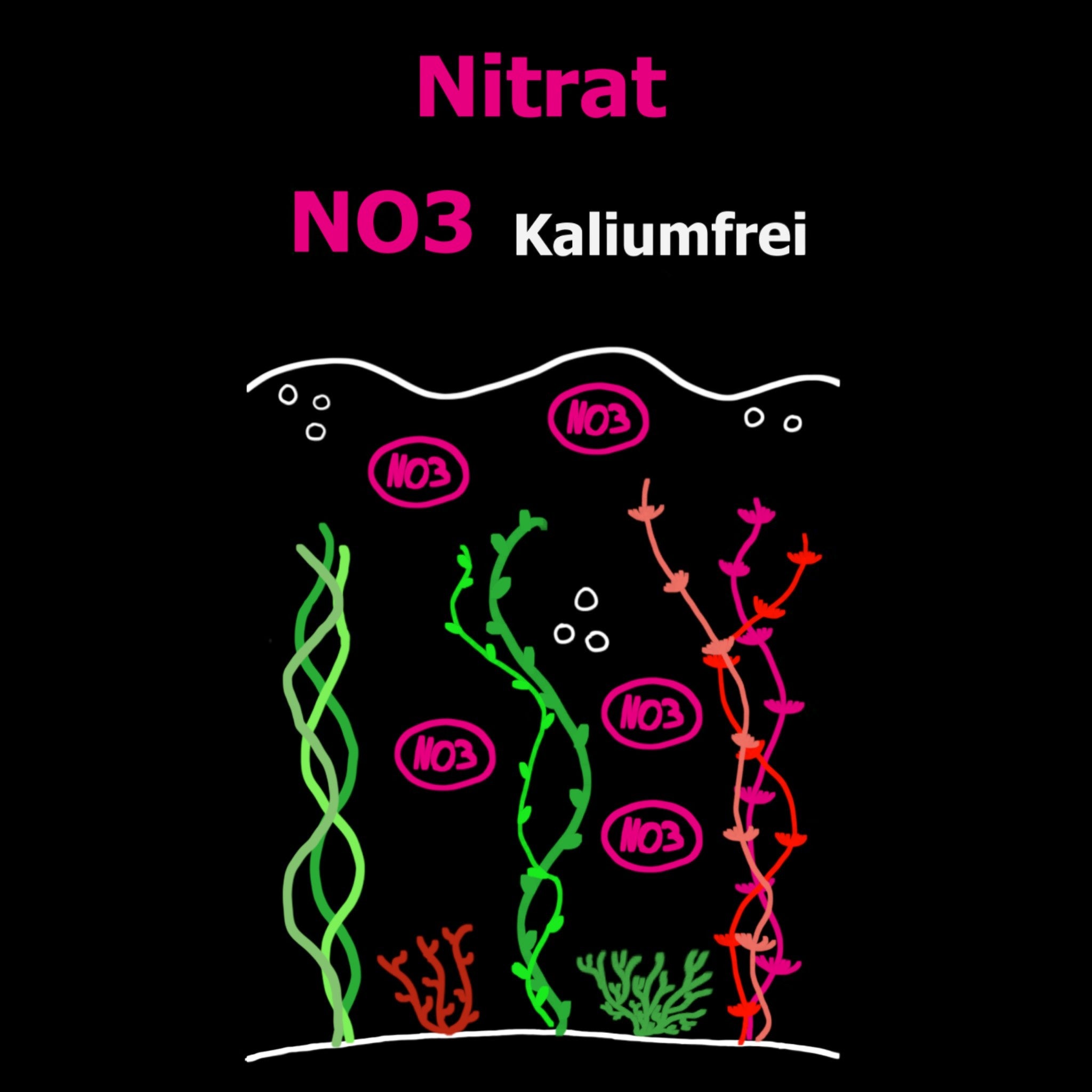 C&P Aquaplants Nitratdünger kaliumfrei für Aquarienpflanzen mit NO3-Nährstoffgrafik und QR-Code