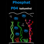 C&P Aquaplants Phosphatdünger kaliumfrei Grafik mit Wasserpflanzen und PO4-Symbolen zur Nährstoffdarstellung