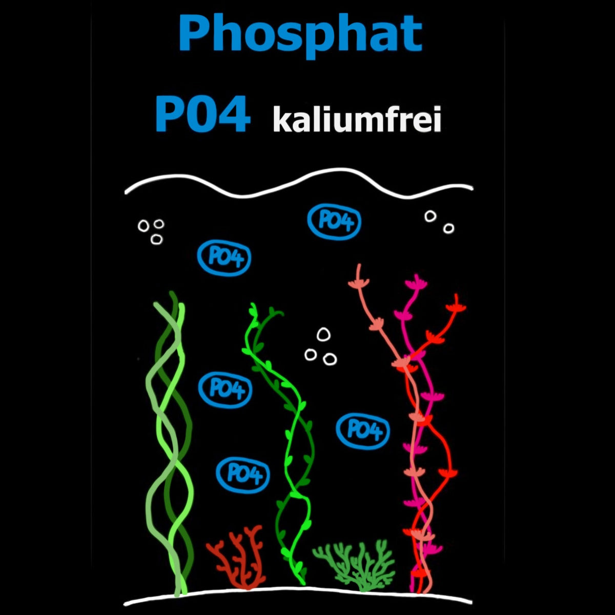 C&P Aquaplants Phosphatdünger kaliumfrei Grafik mit Wasserpflanzen und PO4-Symbolen zur Nährstoffdarstellung