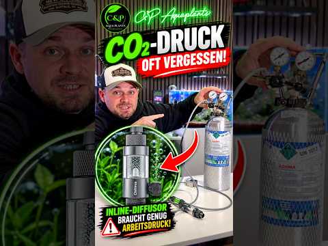 CO2 Test
