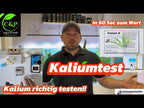 Kalium Test