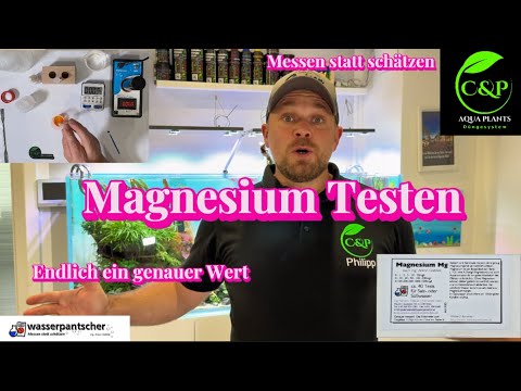 Magnesium Test